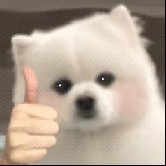 DƬ